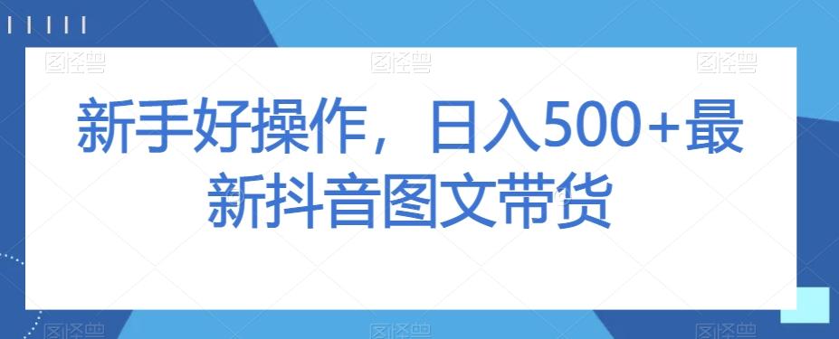 新手好操作，日入500+最新抖音图文带货【揭秘】-百货大全