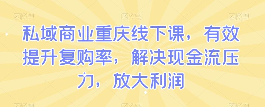 私域商业重庆线下课，有效提升复购率，解决现金流压力，放大利润-百货大全