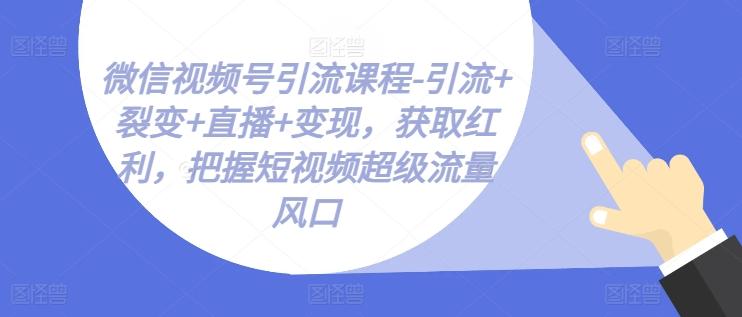 微信视频号引流课程-引流+裂变+直播+变现，获取红利，把握短视频超级流量风口-百货大全