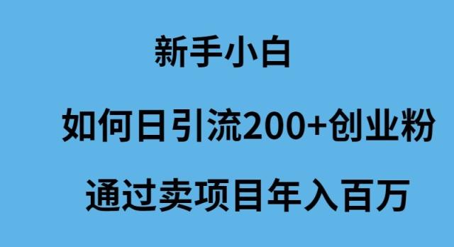 (9668期)新手小白如何日引流200+创业粉通过卖项目年入百万-百货大全