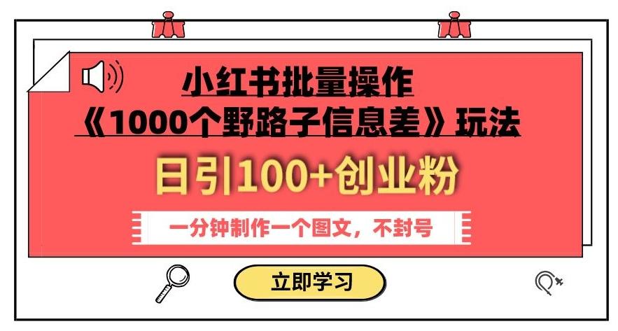 小红书批量操作《1000个野路子信息差》玩法，一分钟制作一个图文，不封号，日引100+创业粉-百货大全