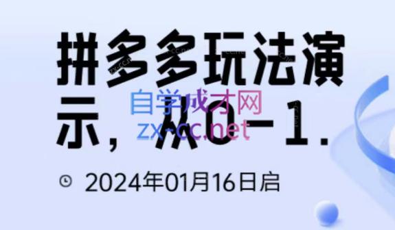 吴老师·拼多多从选品到截流到付费的玩法技巧-百货大全
