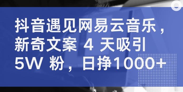 抖音遇见网易云音乐，新奇文案 4 天吸引 5W 粉，日挣1000+【揭秘】-百货大全