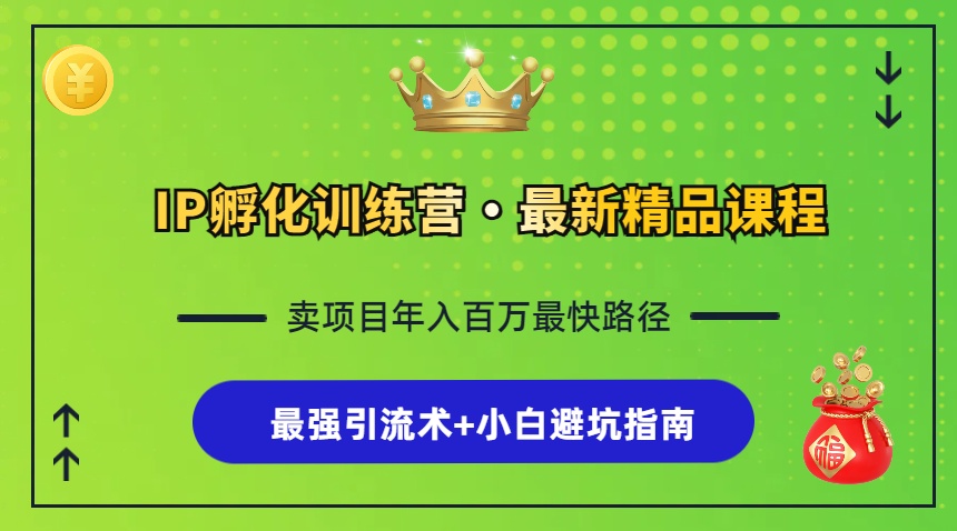 IP孵化训练营，知识付费全流程+最强引流术+小白避坑指南-百货大全