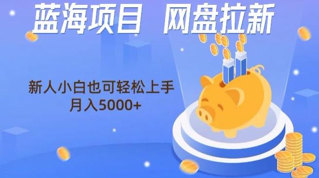 蓝海项目网盘拉新，新人小白也可操作，每月收入5000+-百货大全