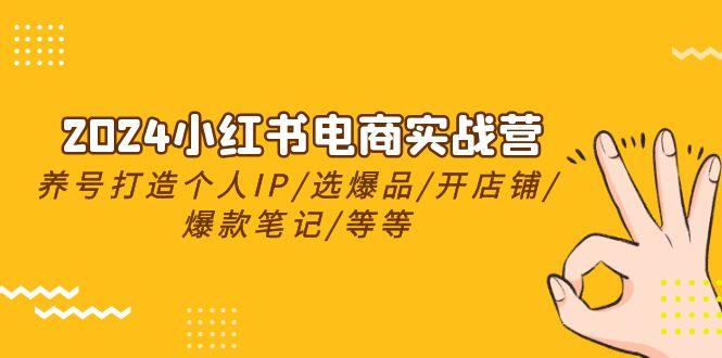 2024小红书电商实战营，养号打造IP/选爆品/开店铺/爆款笔记/等等(24节)-百货大全