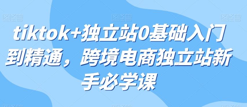 tiktok+独立站0基础入门到精通，跨境电商独立站新手必学课-百货大全