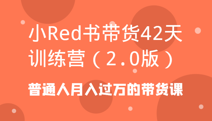 小Red书带货42天训练营(2.0版)普通人月入过万的带货课-百货大全