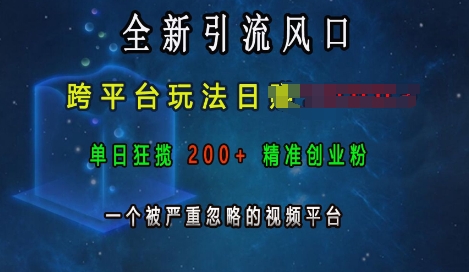全新引流风口，跨平台玩法日入上k，单日狂揽200+精准创业粉，一个被严重忽略的视频平台-百货大全