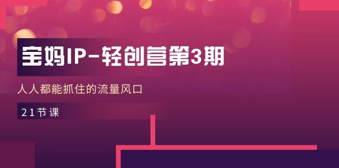 宝妈IP-轻创营第3期，人人都能抓住的流量风口(21节课-百货大全