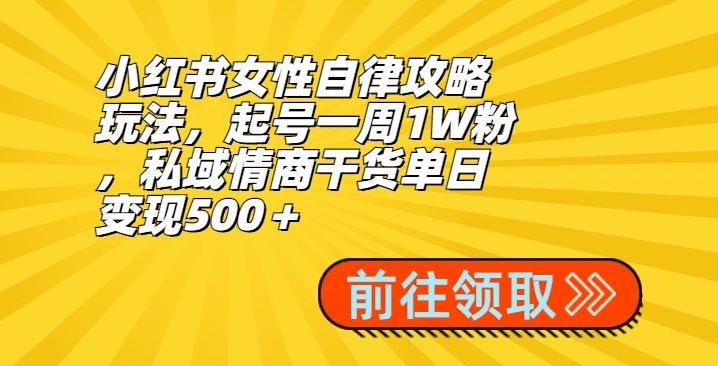 小红书女性自律攻略玩法，起号一周1W粉，私域情商干货单日变现500＋-百货大全