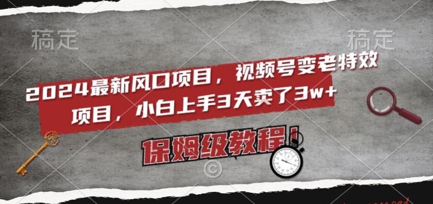 2024最新风口项目，视频号变老特效项目，电脑小白上手3天卖了3w+，保姆级教程【揭秘】-百货大全