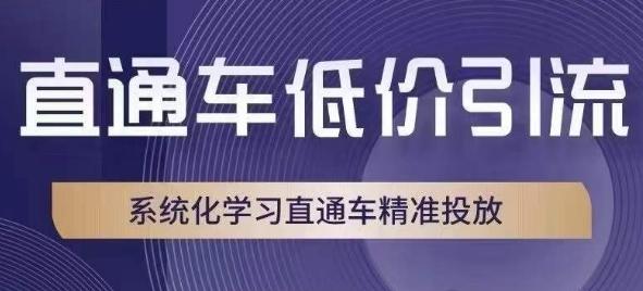 直通车低价引流课，系统化学习直通车精准投放-百货大全