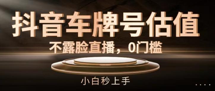抖音车牌号估值，不露脸直播，0门槛，小白秒上手【揭秘】-百货大全