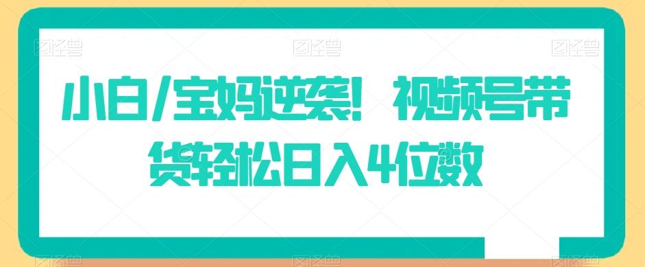小白/宝妈逆袭！视频号带货轻松日入4位数【揭秘】-百货大全