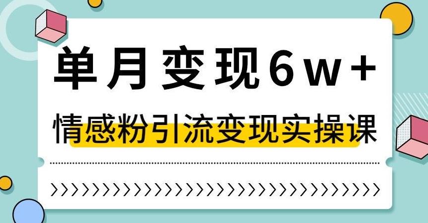 单月变现6W+，抖音情感粉引流变现实操课，小白可做，轻松上手，独家赛道【揭秘】-百货大全