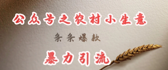 deepseek写农村小项目，条条爆款，暴力引流-百货大全