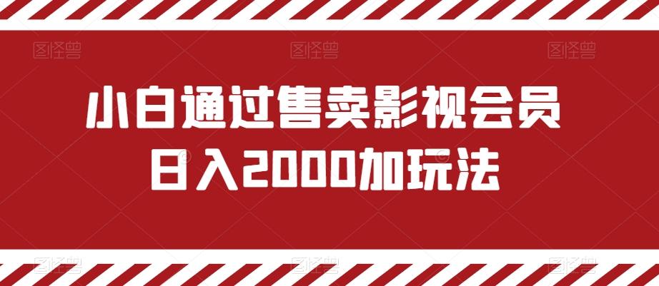 小白通过售卖影视会员日入2000加玩法-百货大全