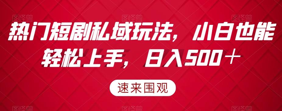 热门短剧私域玩法，小白也能轻松上手，日入500＋-百货大全