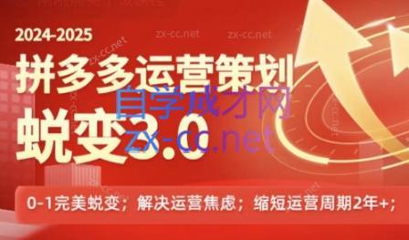 大力老师·2024拼多多运营策略蜕变3.0-百货大全