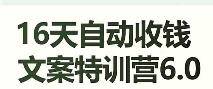 16天自动收钱文案特训营6.0，学会儿每天自动咔咔收钱-百货大全