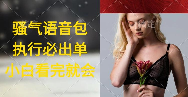 (9589期)执行就出单，日入2000+，超火骚气语音包，小白看完课程就能马上实操-百货大全
