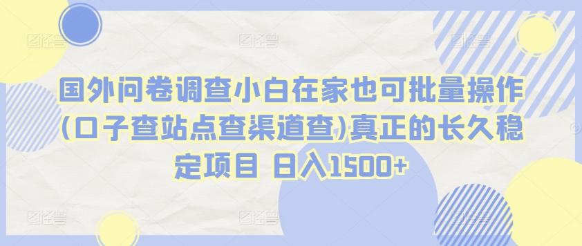 国外问卷调查小白在家也可批量操作(口子查站点查渠道查)真正的长久稳定项目 日入1500+【揭秘】-百货大全