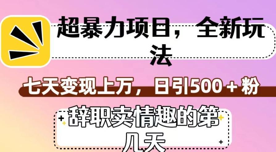 超暴利项目，全新玩法（辞职卖情趣的第几天），七天变现上万，日引500+粉【揭秘】-百货大全