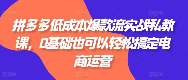 拼多多低成本爆款流实战私教课，0基础也可以轻松搞定电商运营-百货大全