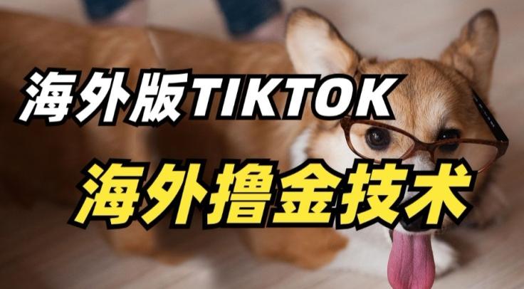 抖音海外版tiktok撸金技术，这个风口行业，赚钱真的不难【揭秘】-百货大全