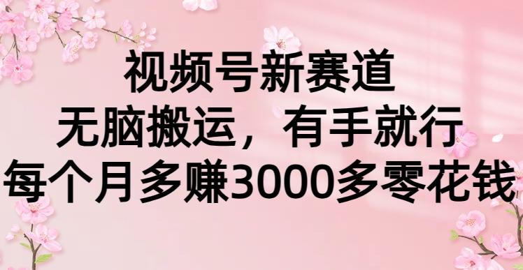 (9278期)视频号新赛道，无脑搬运，有手就行，每个月多赚3000多零花钱-百货大全