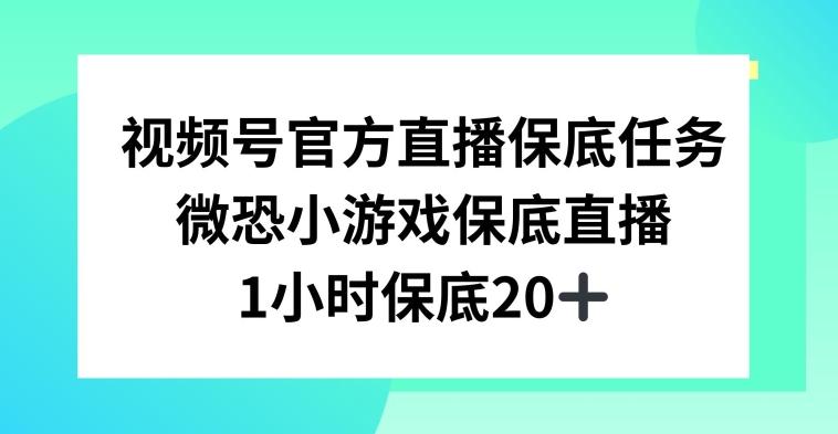 视频号直播任务，微恐小游戏，1小时20+【揭秘】-百货大全