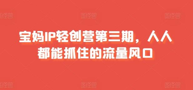 宝妈IP轻创营第三期，人人都能抓住的流量风口-百货大全