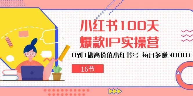 小红书100天-爆款IP实操营，0到1做高价值小红书号 每月多赚3000+(16节-百货大全