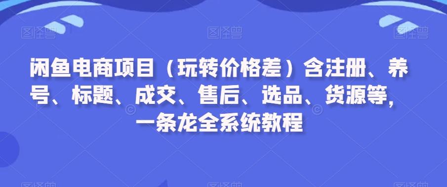 闲鱼电商项目(玩转价格差)含注册、养号、标题、成交、售后、选品、货源等，一条龙全系统教程-百货大全