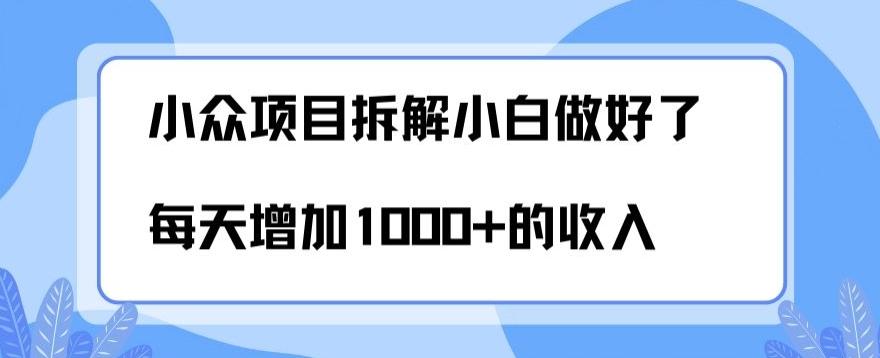 小众项目拆解，小白做好了每天可增加1000多的收入-百货大全