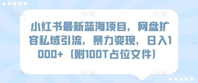 小红书最新蓝海项目，网盘扩容私域引流，暴力变现，日入1000+(附100T占位文件)【揭秘】-百货大全