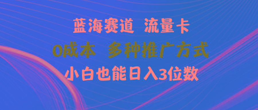 蓝海赛道 流量卡 0成本 小白也能日入三位数-百货大全