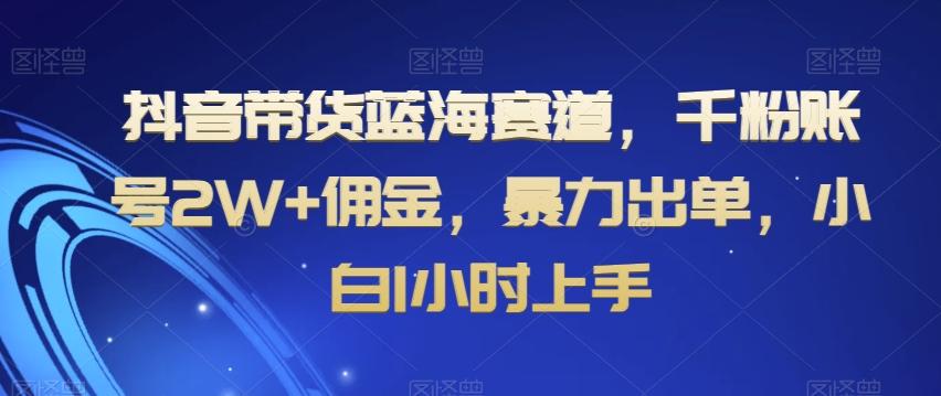 抖音带货蓝海赛道，千粉账号2W+佣金，暴力出单，小白1小时上手【揭秘】-百货大全