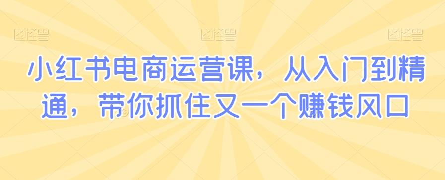 小红书电商运营课，从入门到精通，带你抓住又一个赚钱风口-百货大全