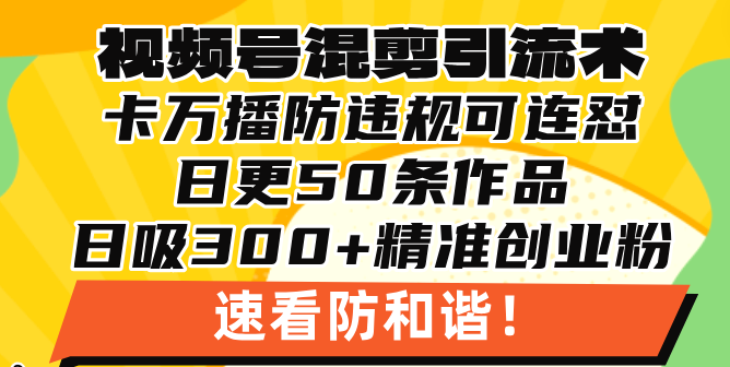 视频号混剪引流技术，500万播放引流17000创业粉，操作简单当天学会-百货大全