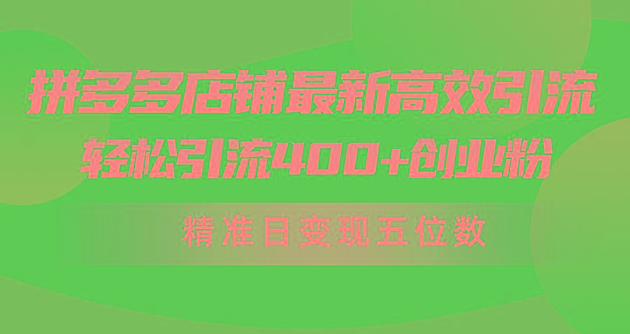 (10041期)拼多多店铺最新高效引流术，轻松引流400+创业粉，精准日变现五位数！-百货大全