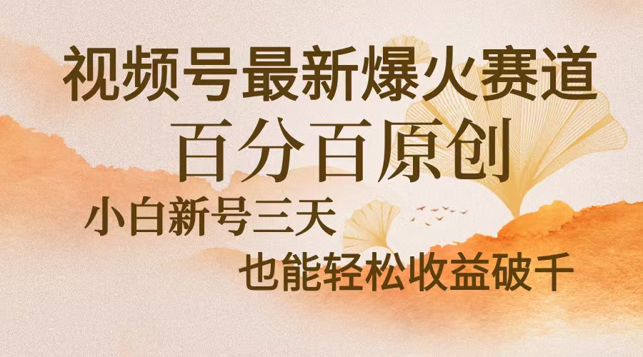 视频号最新爆火赛道，中老年粉深信不疑，百分百原创，新号三天收益轻松…-百货大全