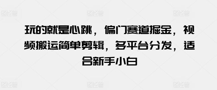 玩的就是心跳，偏门赛道掘金，视频搬运简单剪辑，多平台分发，适合新手小白【揭秘】-百货大全