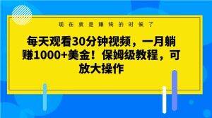 每天观看30分钟视频，一月躺赚1000+美金！保姆级教程，可放大操作【揭秘】-百货大全