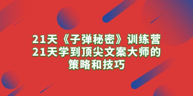 21天《子弹秘密》训练营，21天学到顶尖文案大师的策略和技巧-百货大全