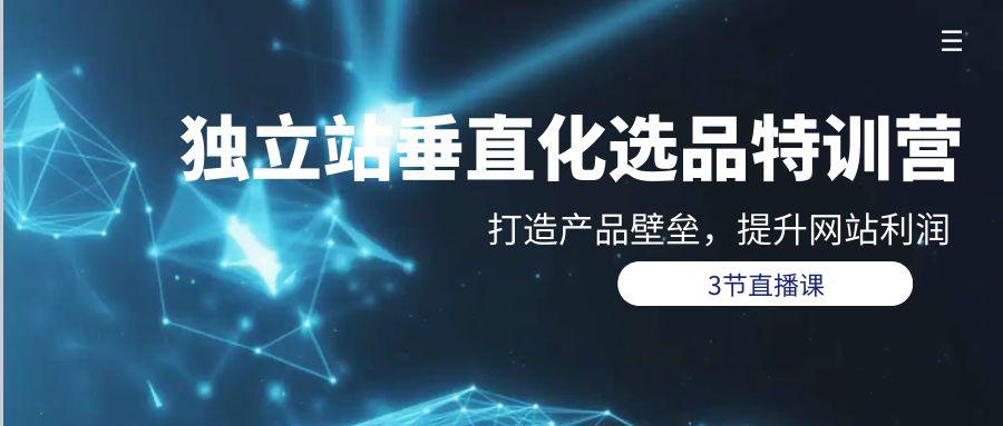 (9925期)独立站-垂直化选品训练营，打造产品壁垒，提升网站利润(3节直播课)-百货大全