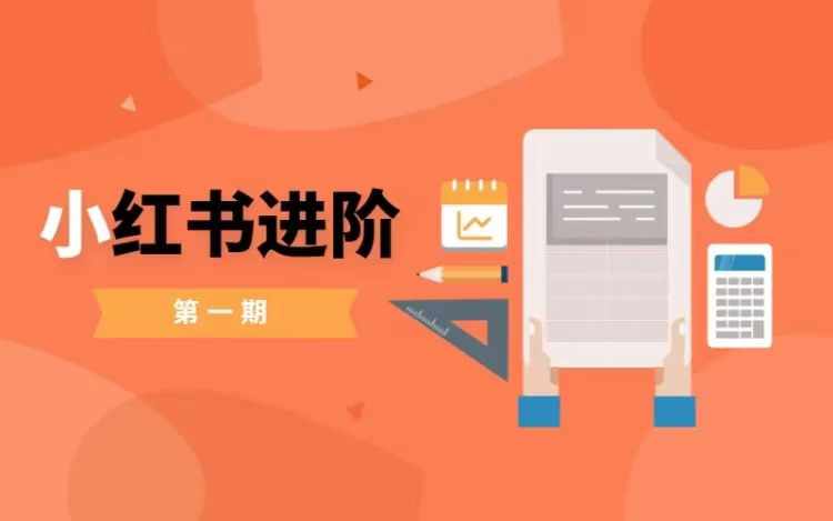 小红书进阶篇，零基础小白实战课，普通人变现的课程-百货大全