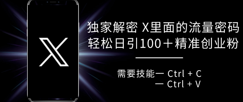 独家解密 X 里面的流量密码，复制粘贴轻松日引100+-百货大全
