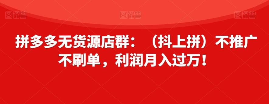 拼多多无货源店群：（抖上拼）不推广不刷单，利润月入过万！【揭秘】-百货大全